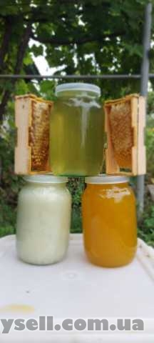 продам натуральний мед звласної пасіки, Котовск, 90 грн