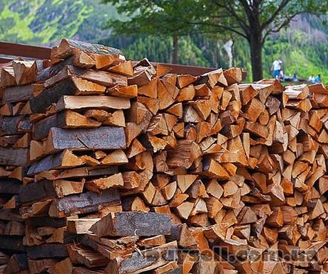 Продам дрова твердих порід дерева, Желтые Воды, 700 грн