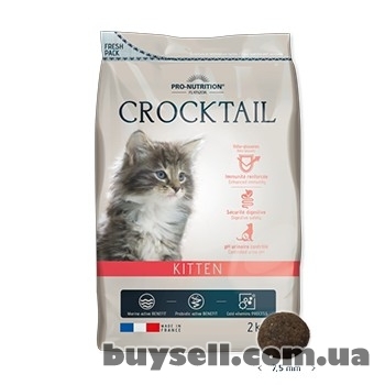 PRO-Nutrition Корм для котів та собак ОПТ / Роздріб, Подволочиск, 450 грн