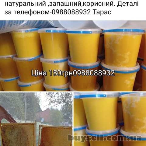 Продам мед з власної пасіки, Мостиска, 150 грн