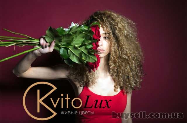 Доставка цветов в Харькове от Kvitolux, Балаклея, 100 грн