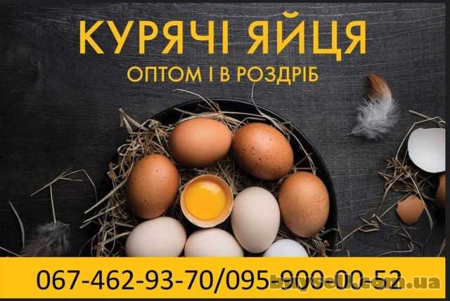 Яйця курячі столові різних категорій від виробника, Лохвица, 4 грн