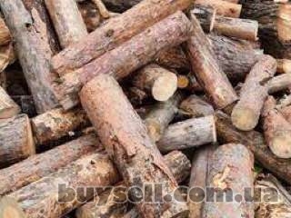 Продам дрова сосна, Вышгород, 1 100 грн