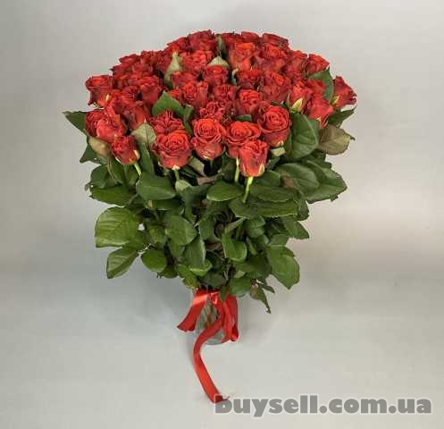 Велична троянда - ідеальний вибір для будь-якої події!, Запорожье, 1 000 грн