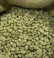 Зеленый дикий кофе Робуста сырой Уганда