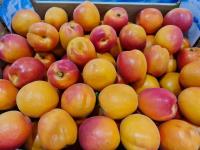 Предлагаем оптовые поставки абрикоса из Испании