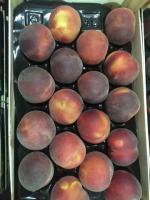 Предлагаем оптовые поставки персика из Испании