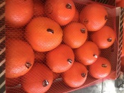 Продаем апельсин