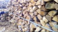 Лесхоз из Полтавской области реализует с доставкой дрова колотые