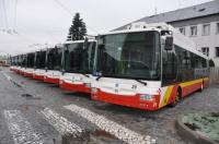 Водій-автобус категорії D,  Чехія.
