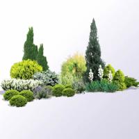 Ландшафтний дизайн,   догляд за садом