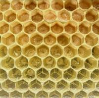 Оголошення Продам бджолопакети!
