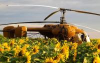 Фунгіцидний захист соняшнику вертольотами