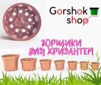 Горщики для хризантем від KLODA (Польща) :  продаж в Україні