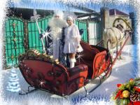 Вип Дед Мороз и снегурочка