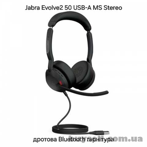 Jabra Evolve2 50 USB-A MS Stereo (25089-999-999)