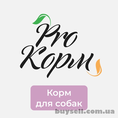 ProKorm Dog  / Яловичина і рис Корм для дорослих собак всіх порід