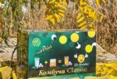 StickDrink Комбуча Classic