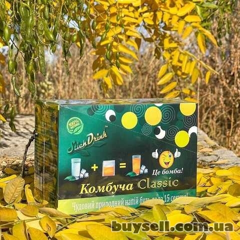 StickDrink Комбуча Classic