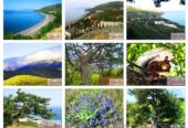 Алушта отдых частный сектор пансионат у моря Канака