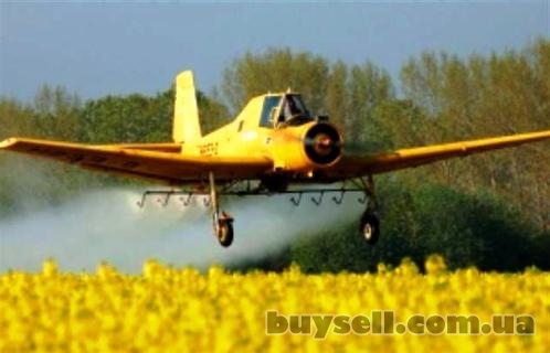 Авиаобработка посевов пшеницы рапса