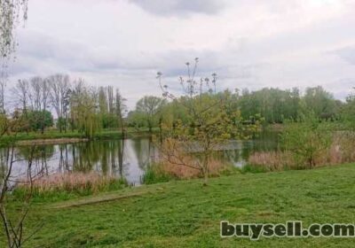 belaya_cerkov-dilyanka_30_sotok_na_nizhnomu_dnsi__persha_liniya_vid_richki__4017666