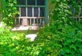 Продам дом по цене участка в селе Коржевка.66 соток.