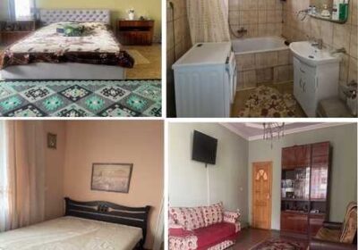 beregovo-podobova_orenda_sadibi_rozaliya_4058034