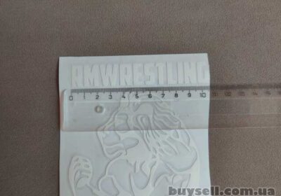borispol-nakleyka_lev_rmwrestling_belaya_na_avto_4058408