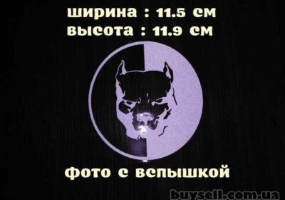borispol-nakleyka_na_avto_ili_moto_pitbul_belaya_svetootrazhayuschaya_4052743