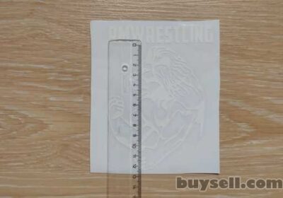 borispol-nakleyka_na_avto_lev_rmwrestling_belaya_4052174