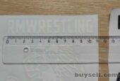 Наклейка на авто Лев rmwrestling Чёрная,  Белая