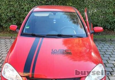 borispol-nakleyka_na_avto_na_kapot_dve_polosy__WRC_belaya_4051923