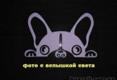 Наклейка на авто Собака Белая светоотражающая