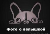 Наклейка на авто Собака светоотражающая Тюнинг авто