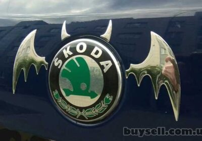 borispol-nakleyka_obemnaya_na_avto-moto_krylya_letuchey_myshi_4051866