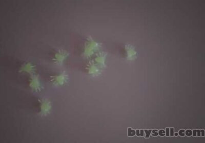 borispol-pauchki_belye_fosfornye_dlya_hellouina_plastmassovye_10_sht_4058398