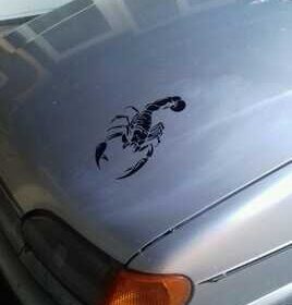 borispol-stiker_na_avto_skorpion_chyornaya_2_sht_4058767