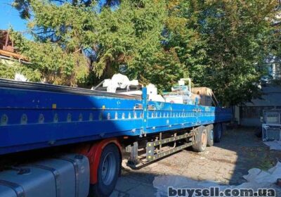 bortovye_v_kieve_4044245