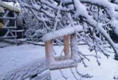 Годівниці,  шпаківня,  синичник