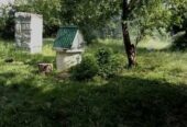 Дача на обмен или продажу