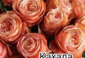 Магазин цветов Днепр Есть доставка букетов