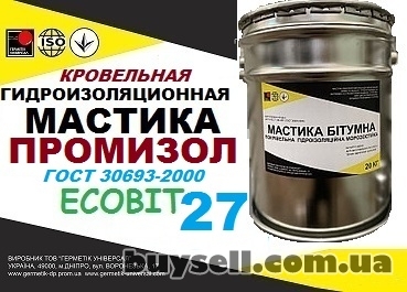 dnepropetrovsk-mastika_dlya_remonta_krovli_promizol_Ecobit_-27_4055004