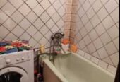 Продам.  2-к. кв.  3/4,  Самаровка.  ул. Звонкая