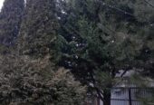 Продам.  Дом 60 м. кв.  5 сот.  Клочко-6,  ул. Мелітопольська (Кима) .
