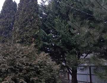 dnepropetrovsk-prodam__dom_60_m__kv__5_sot__klochko-6_ul__melitopolska_kima___4060707