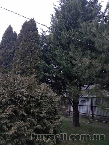 Продам.  Дом 60 м. кв.  5 сот.  Клочко-6,  ул. Мелітопольська (Кима) .
