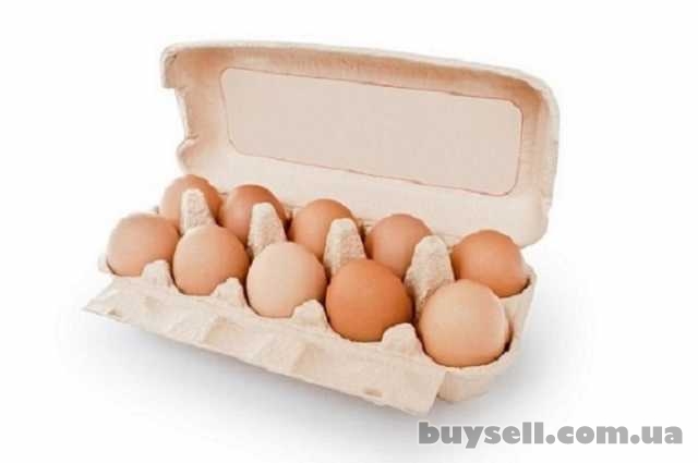 Продам яйця курячі 1 та 2 категорії Дніпро.