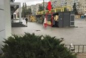 Зупинка на пр.  Героїв (біля ринку "Кодак",  на вході в ТЦ &