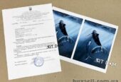 Дозвіл на вивезення картин за кордон,  разрешение на вывоз сертификат